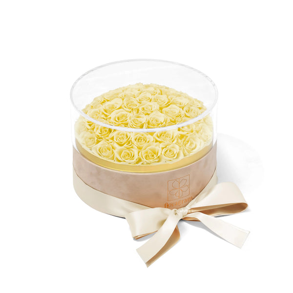 Floragram 50 cream rose box open view — real preserved roses that last 1–3 years