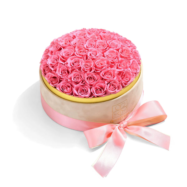 50 pink preserved roses in luxury velvet gift box — Floragram Canada