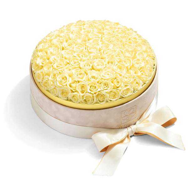 100 mini cream preserved roses in luxury velvet gift box — Floragram Canada