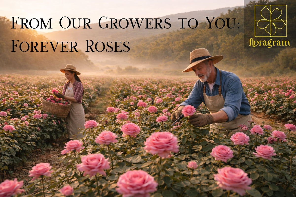 Grown with care. Preserved at peak bloom.